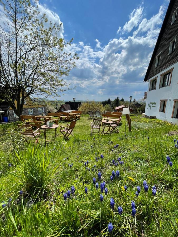 Berghotel Hohegeiß Eksteriør billede